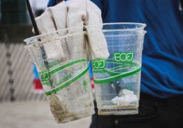 Discovering the Truth Behind Bioplastics