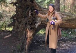 Reconnecting with Nature with a Herbalist Plant Walk