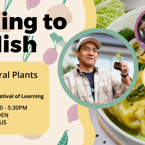 Seedling to Sidedish: Explore Cultural Plants and Palettes