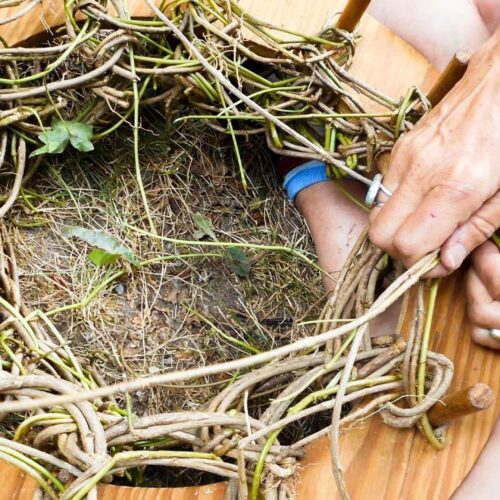 Invasive Species Basket Weaving