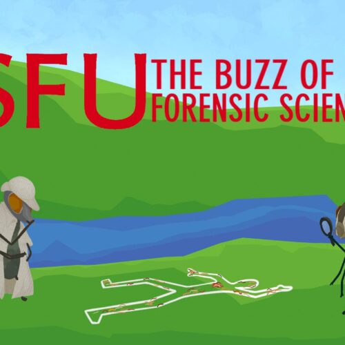 Flies Don’t Lie! SFU Centre for Forensic Research