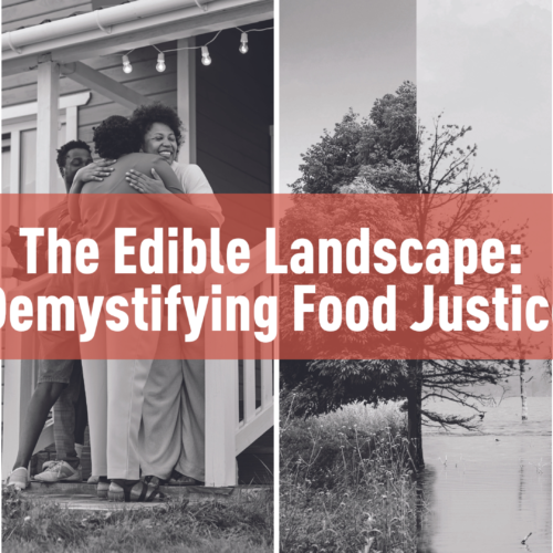 The Edible Landscape: Demystifying Food Justice