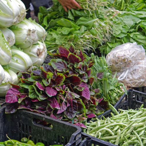 Grocery Tour: Learn about Chinese Ingredients at Crystal Mall